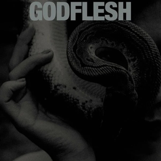 1. Godflesh – Purge