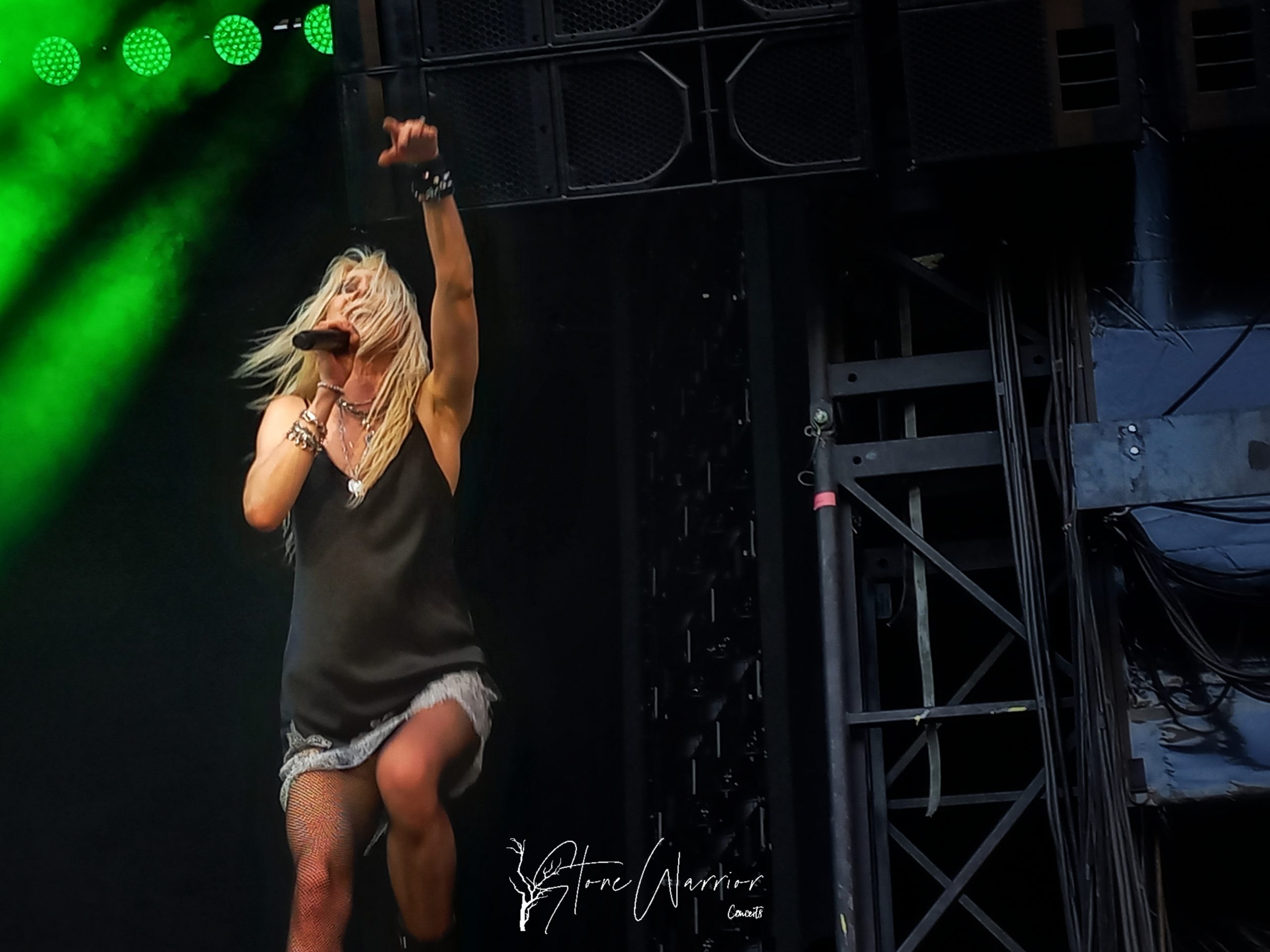 Taylor - The Pretty Reckless