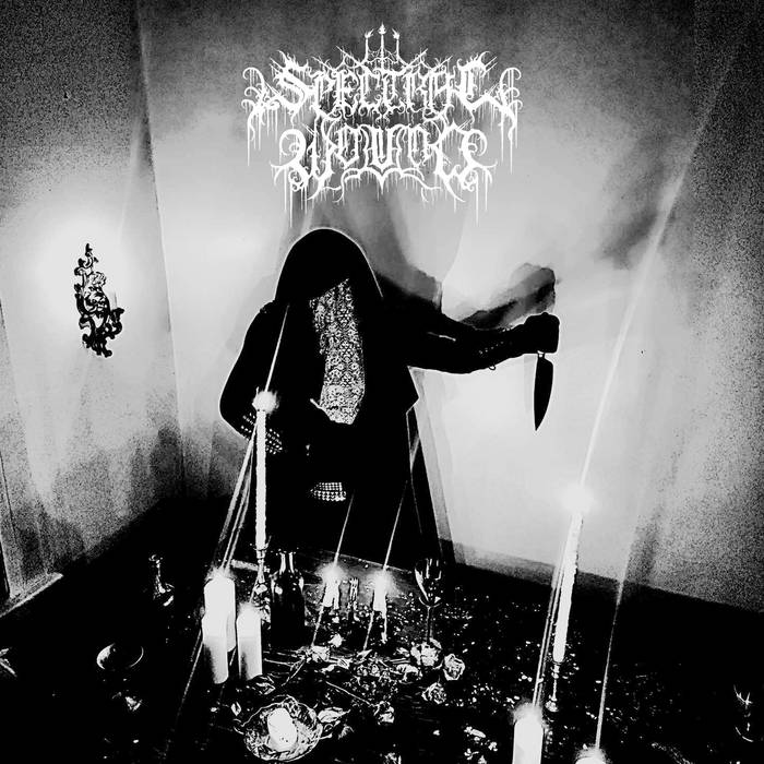 3. Spectral Wound – Songs Of Blood And Mire